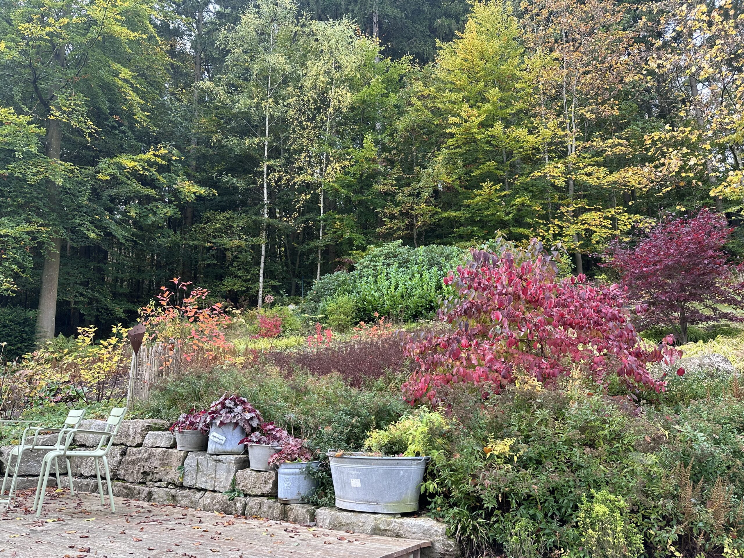 herbstliche Gartenansicht